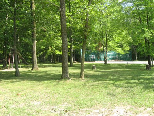 Property photo 5 - 27 Acres offered in 2 Tracts or Combination, Former U.A.W. Hall
